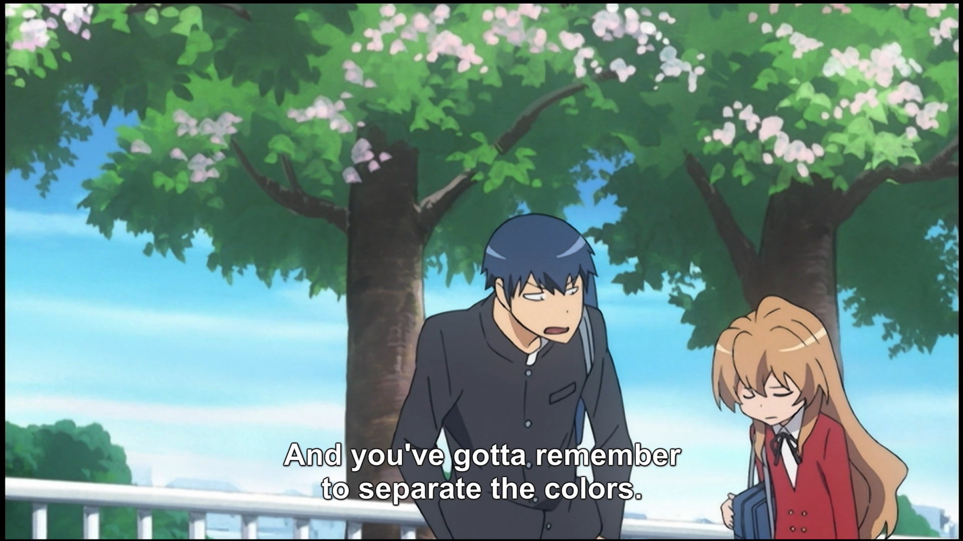 Anime Episode Review: ToraDora Ep. 1